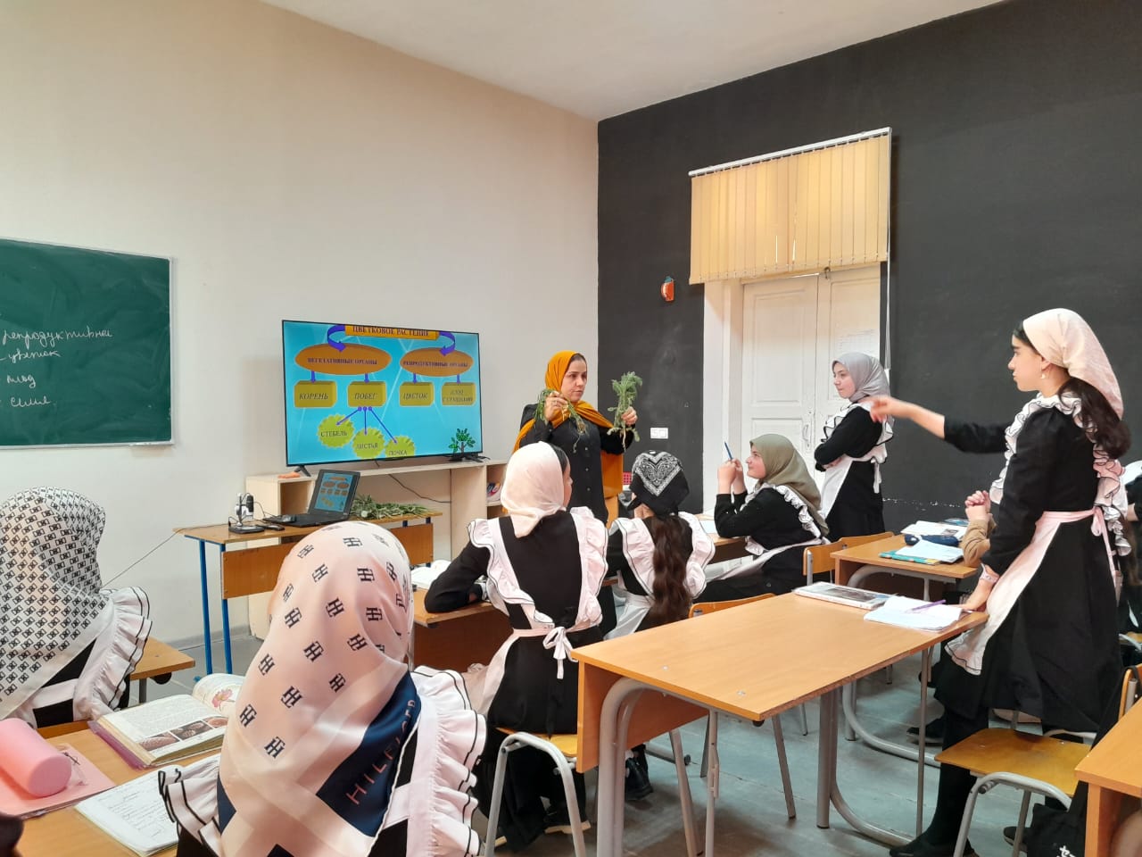 На уроках биологии - мы исследователи..